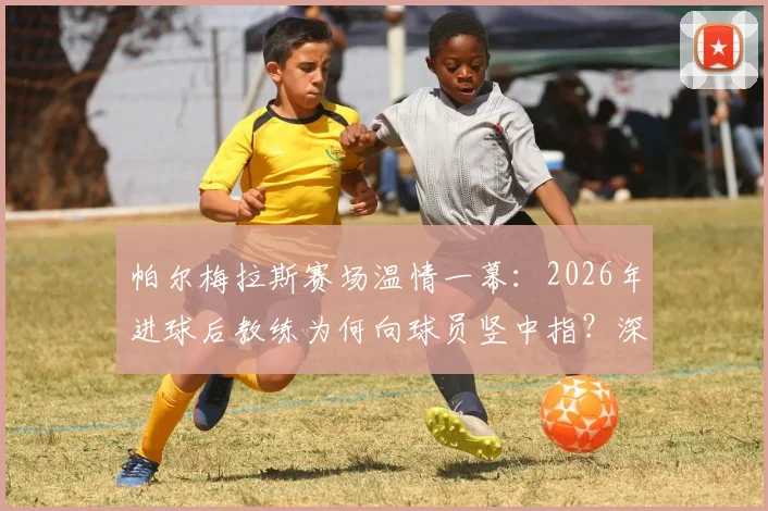 帕尔梅拉斯赛场温情一幕：2026年进球后教练为何向球员竖中指？深度解读南美足球亲密互动文化
